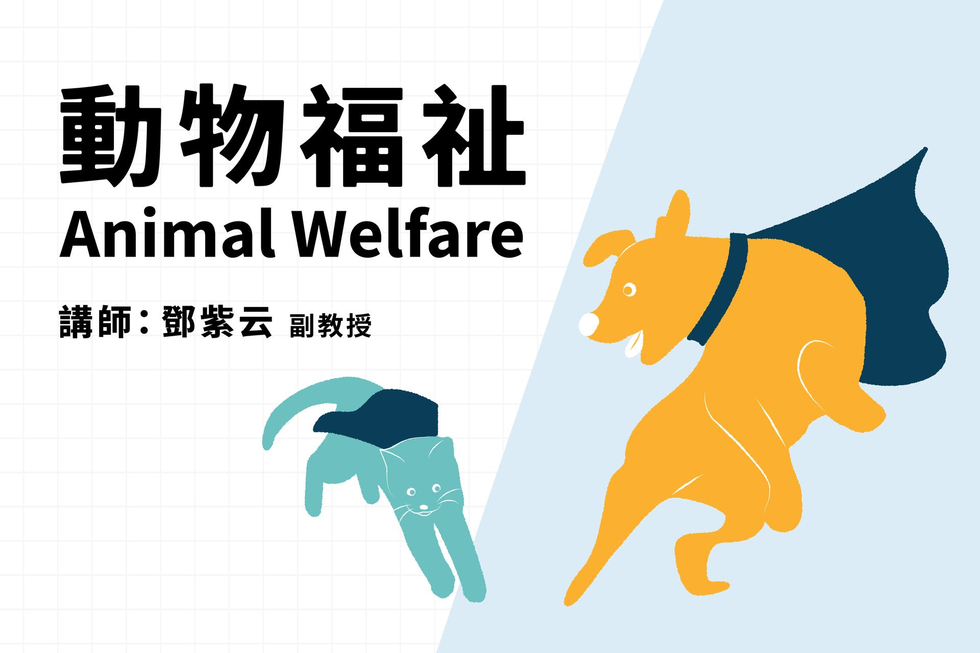 動物福祉 Animal Welfare