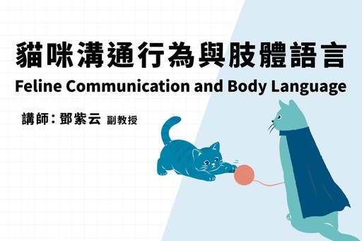 貓的溝通行為與肢體語言