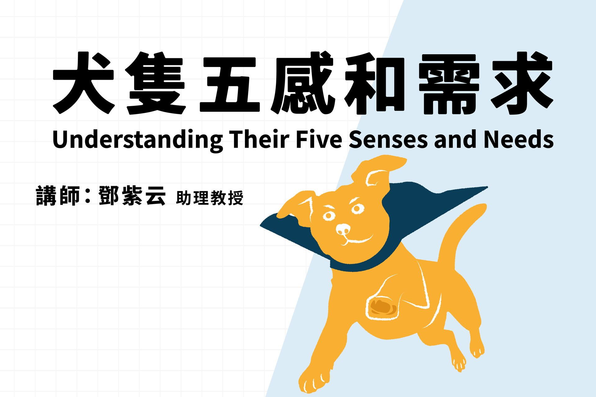 犬隻五感和需求