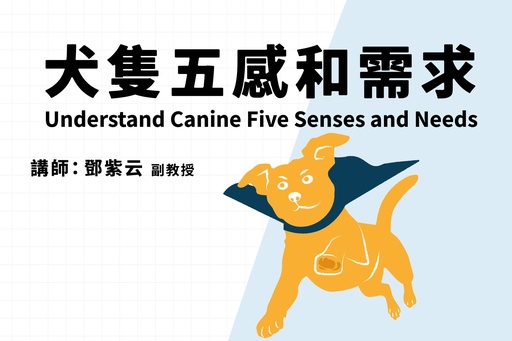 犬隻五感和需求