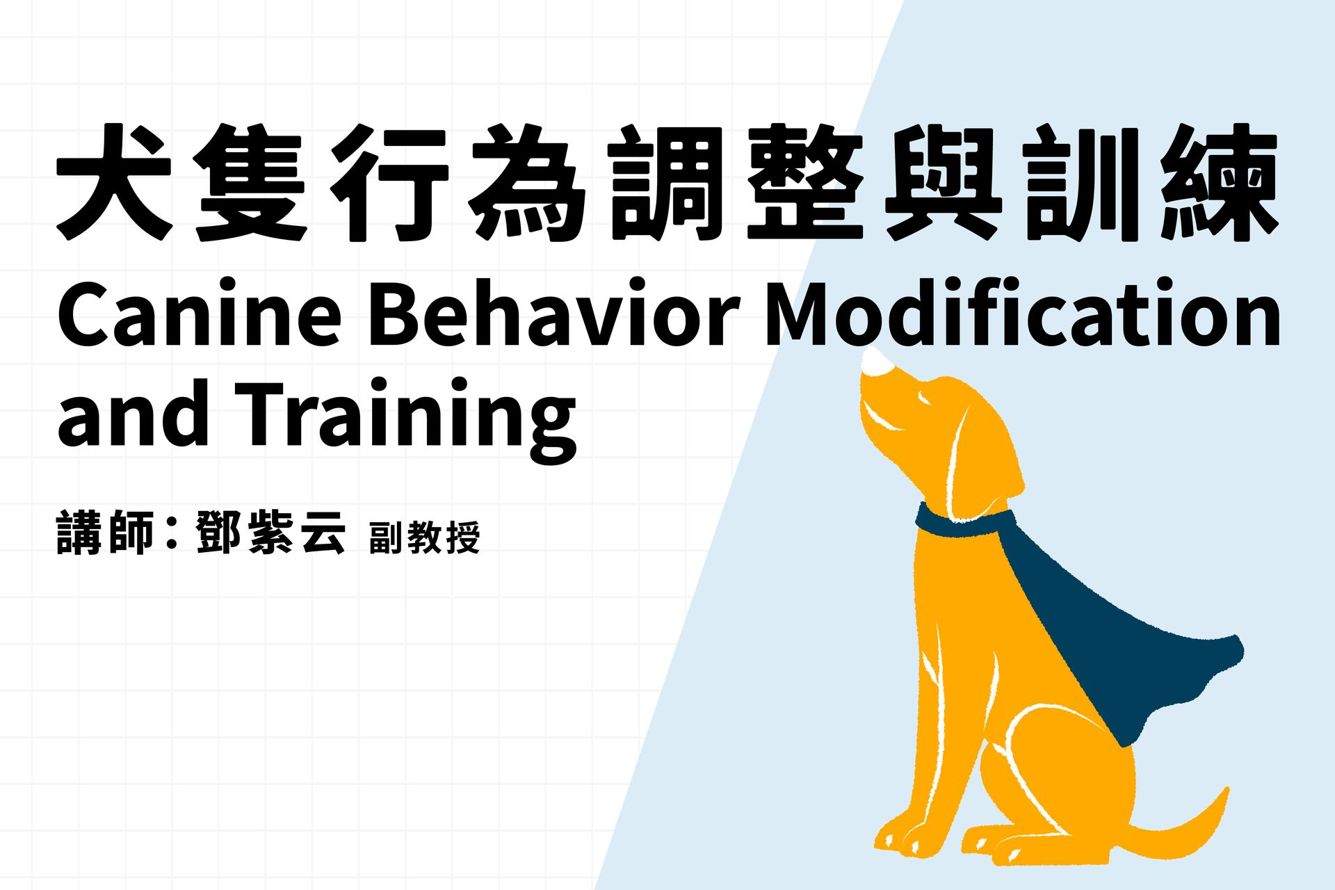 犬隻行為調整與訓練